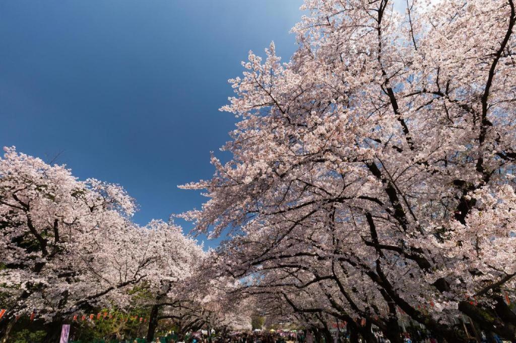 Hotel Bougainvillea Minowa Tokio Exterior foto